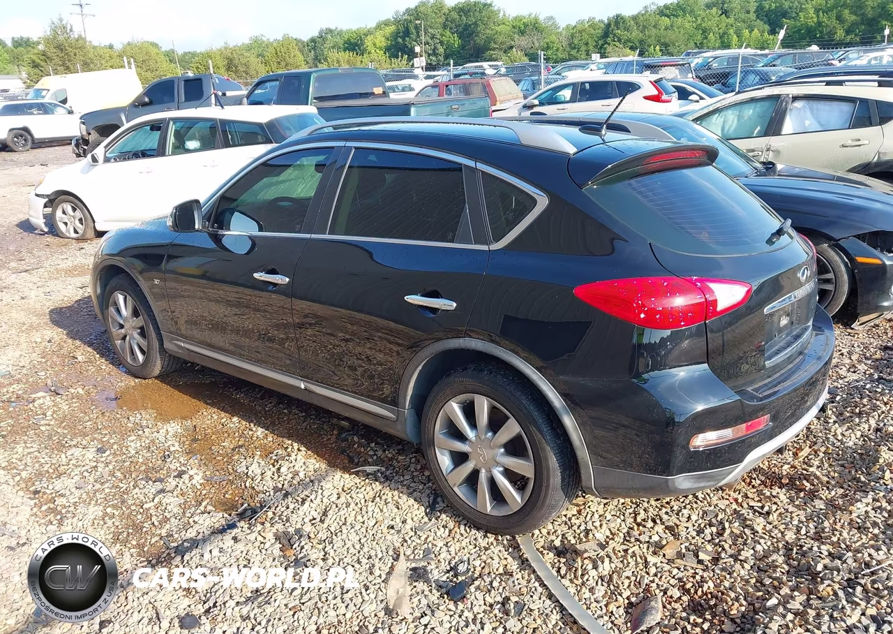 2017 Infiniti Qx50 VIN:JN1BJ0RR9HM400976 - 3