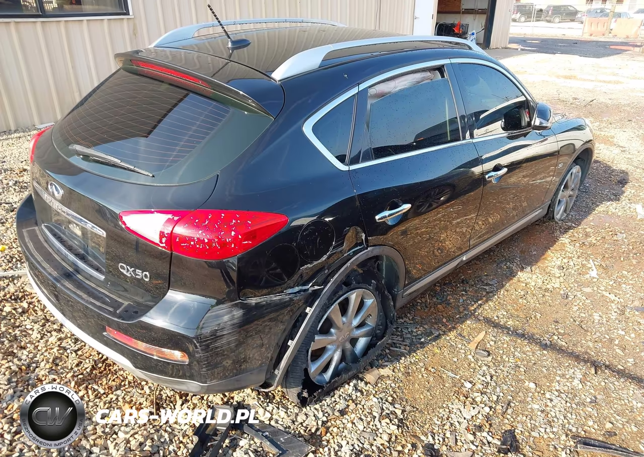 2017 Infiniti Qx50 VIN:JN1BJ0RR9HM400976 - 4