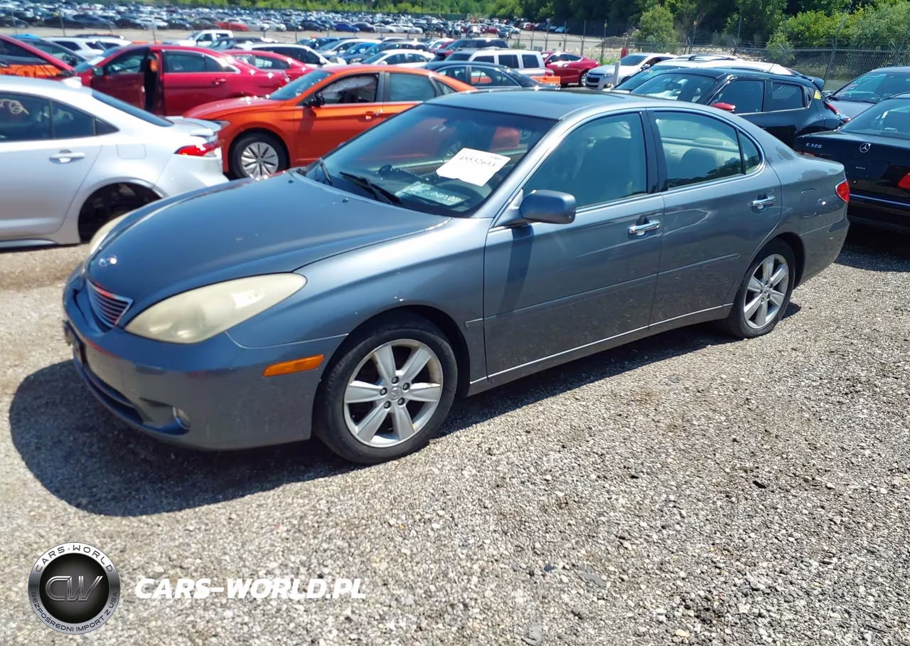 2005 Lexus Es 330 VIN:JTHBA30G455119215 - 2