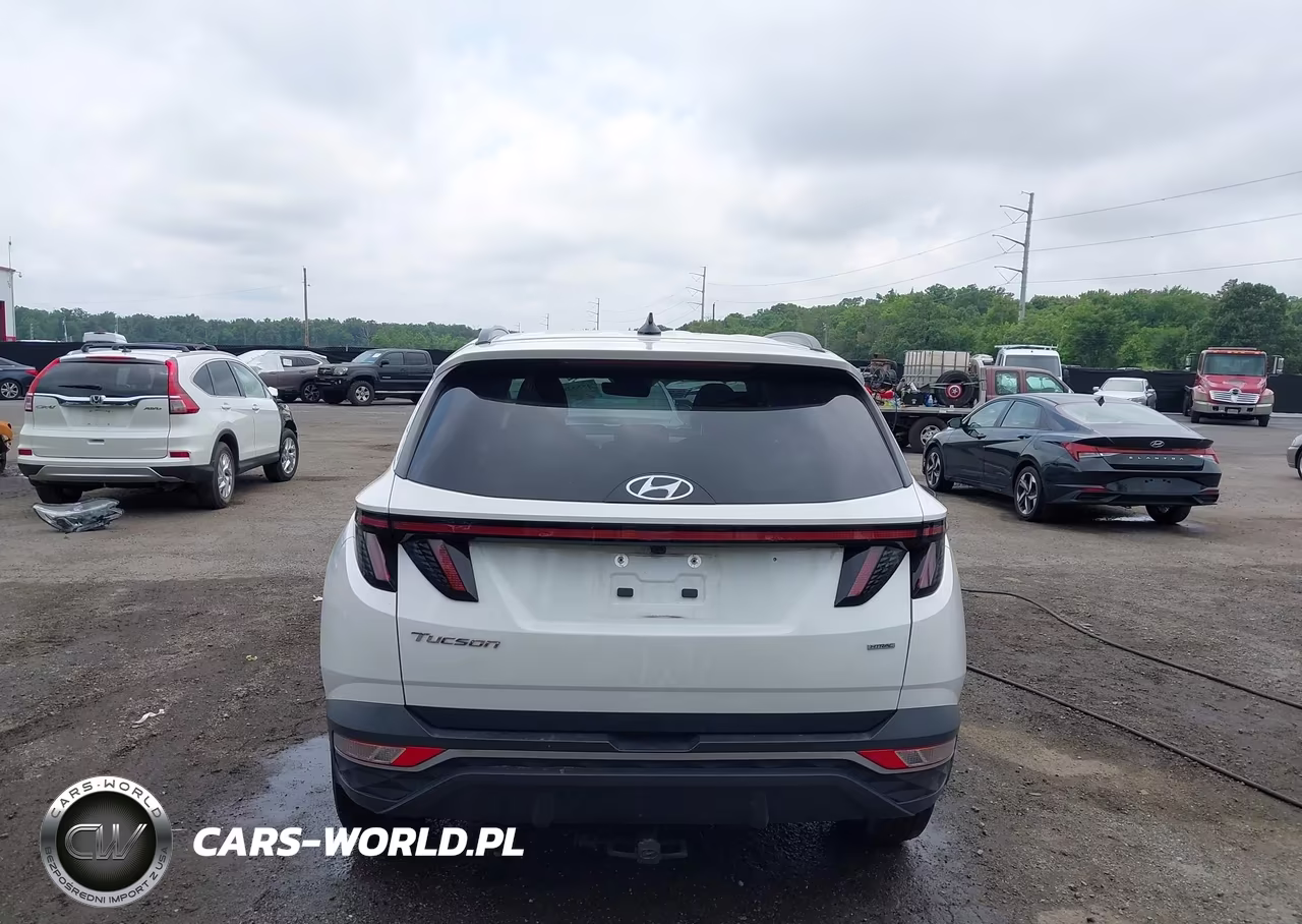 2023 Hyundai Tucson Sel VIN:5NMJBCAE2PH214265 - 17