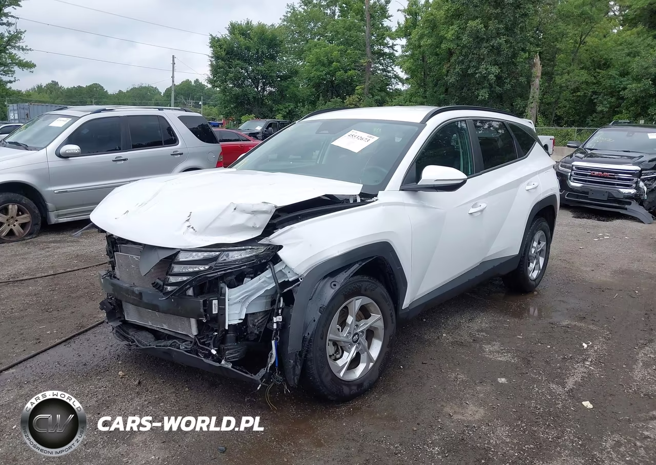 2023 Hyundai Tucson Sel VIN:5NMJBCAE2PH214265 - 2