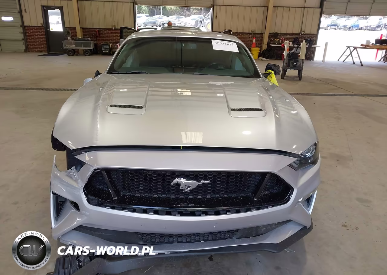2019 Ford Mustang Gt-Gt Premium VIN:1FA6P8CF6K5189379 - 13