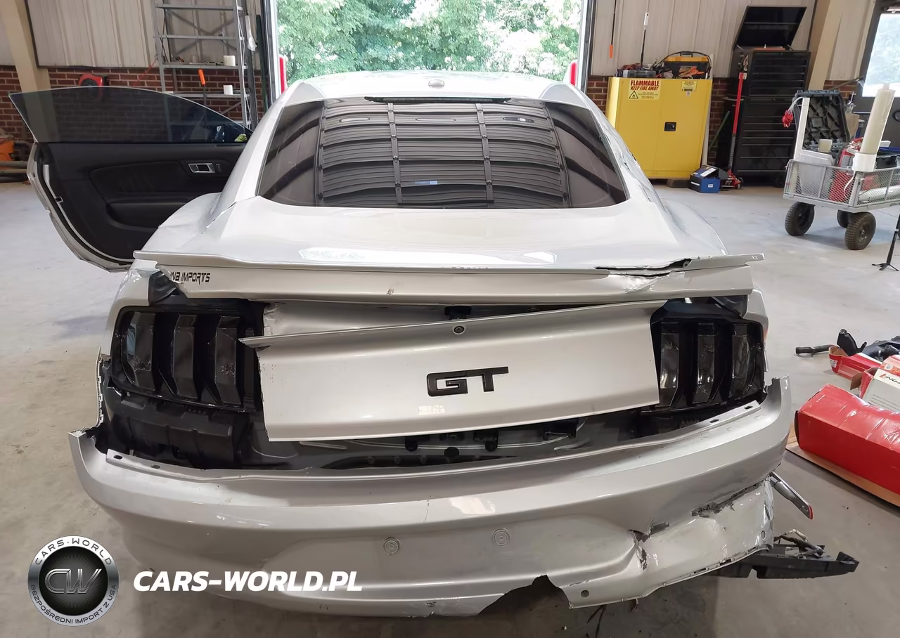 2019 Ford Mustang Gt-Gt Premium VIN:1FA6P8CF6K5189379 - 17