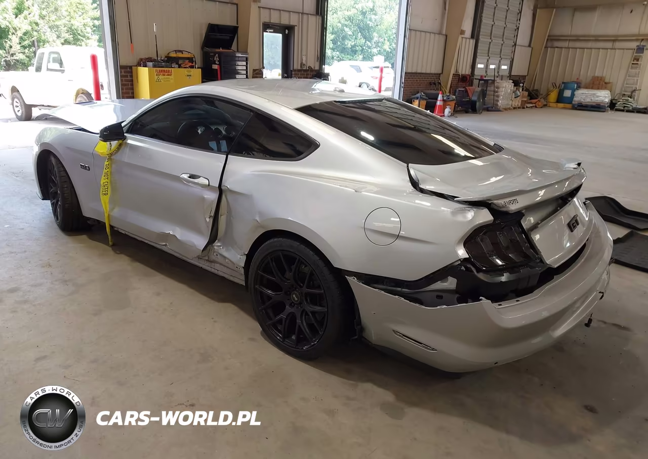 2019 Ford Mustang Gt-Gt Premium VIN:1FA6P8CF6K5189379 - 3