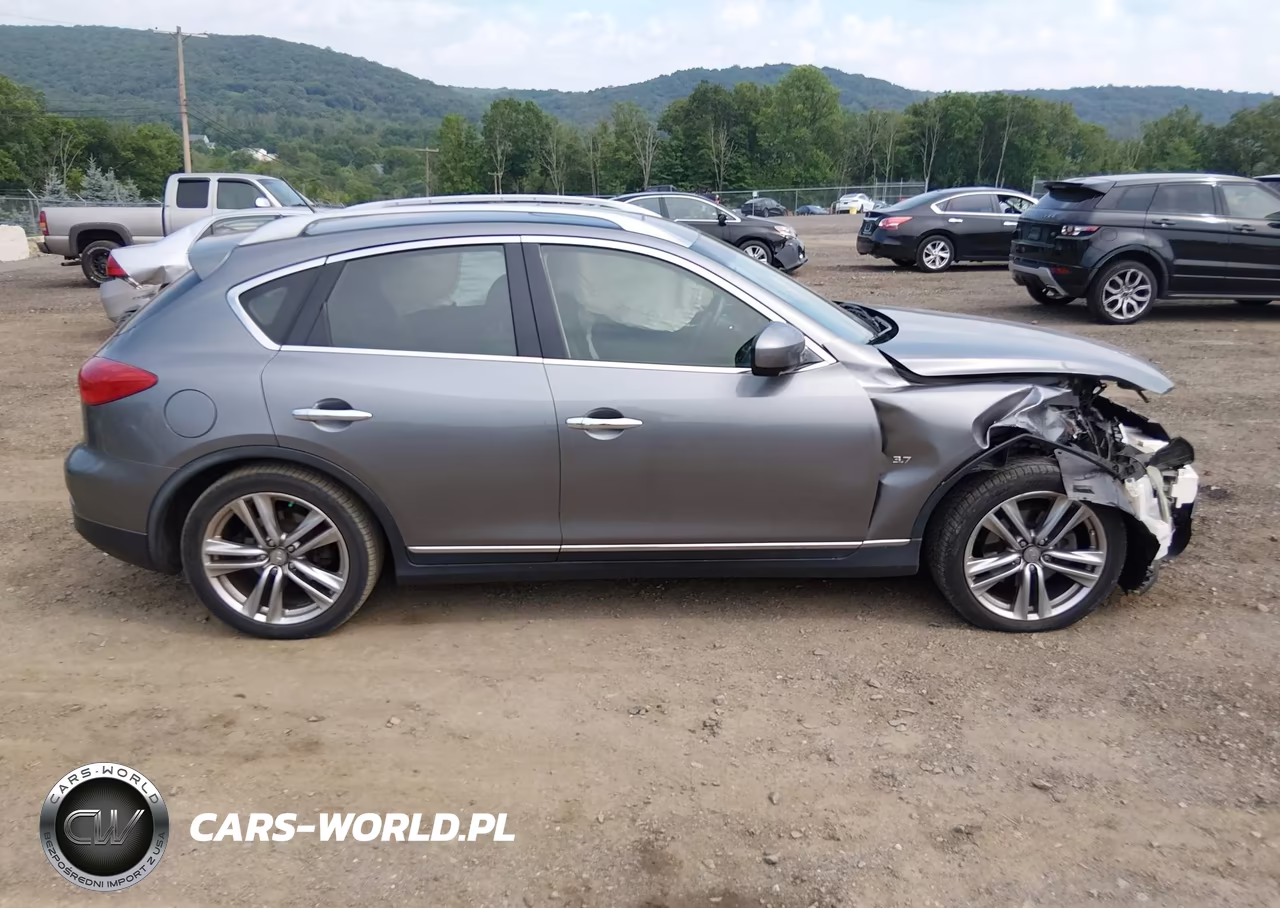 2014 Infiniti Qx50 Journey VIN:JN1BJ0HR9EM190490 - 13