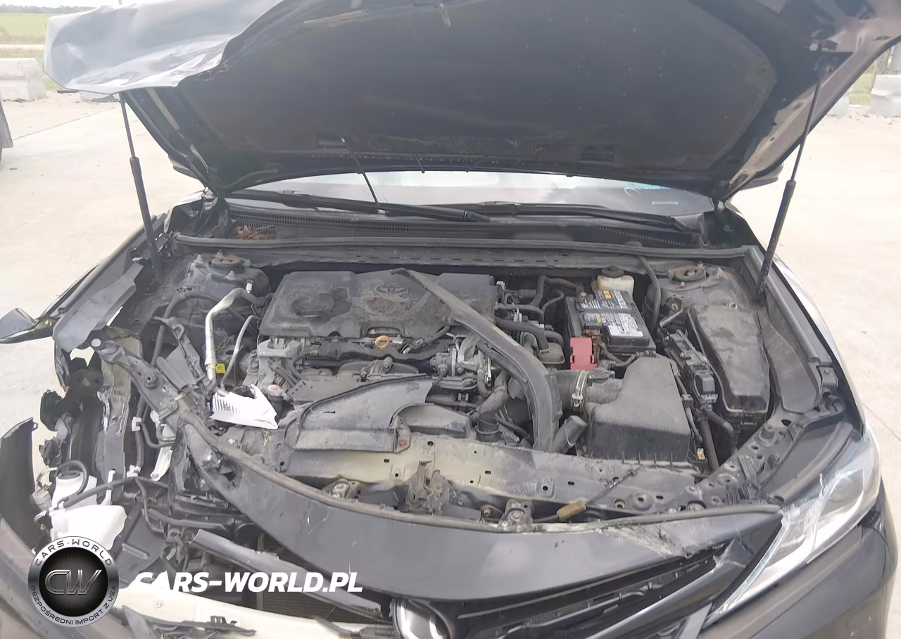 2018 Toyota Camry Se VIN:4T1B11HK1JU060053 - 10