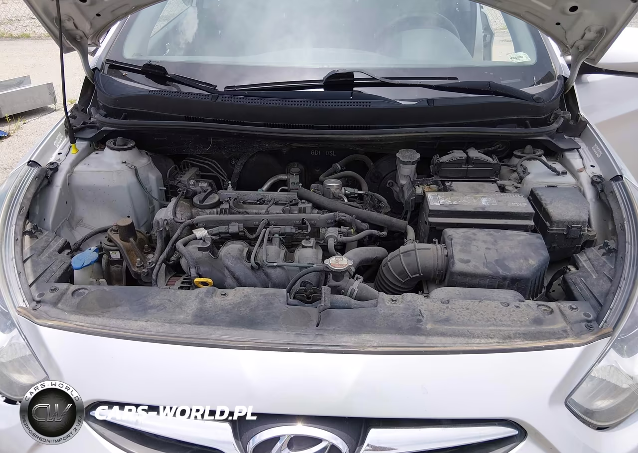 2014 Hyundai Accent Gs VIN:KMHCT5AE2EU195428 - 10