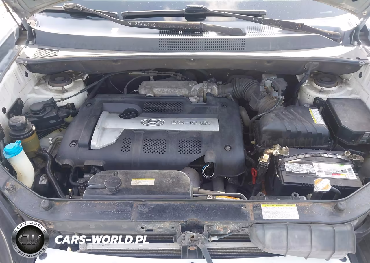 2005 Hyundai Tucson Gl VIN:KM8JM12B55U079805 - 10