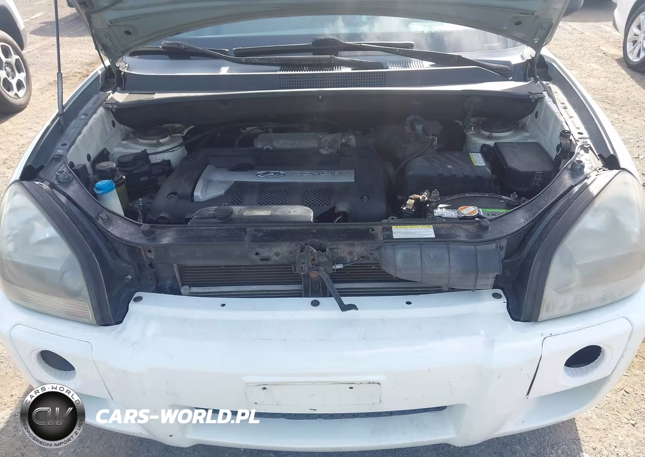 2005 Hyundai Tucson Gl VIN:KM8JM12B55U079805 - 12