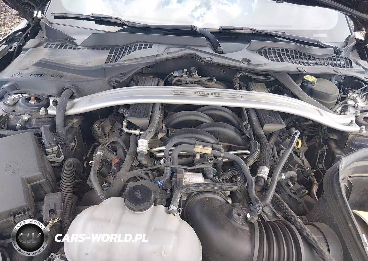 2019 Ford Mustang Bullitt VIN:1FA6P8K01K5506322 - 10