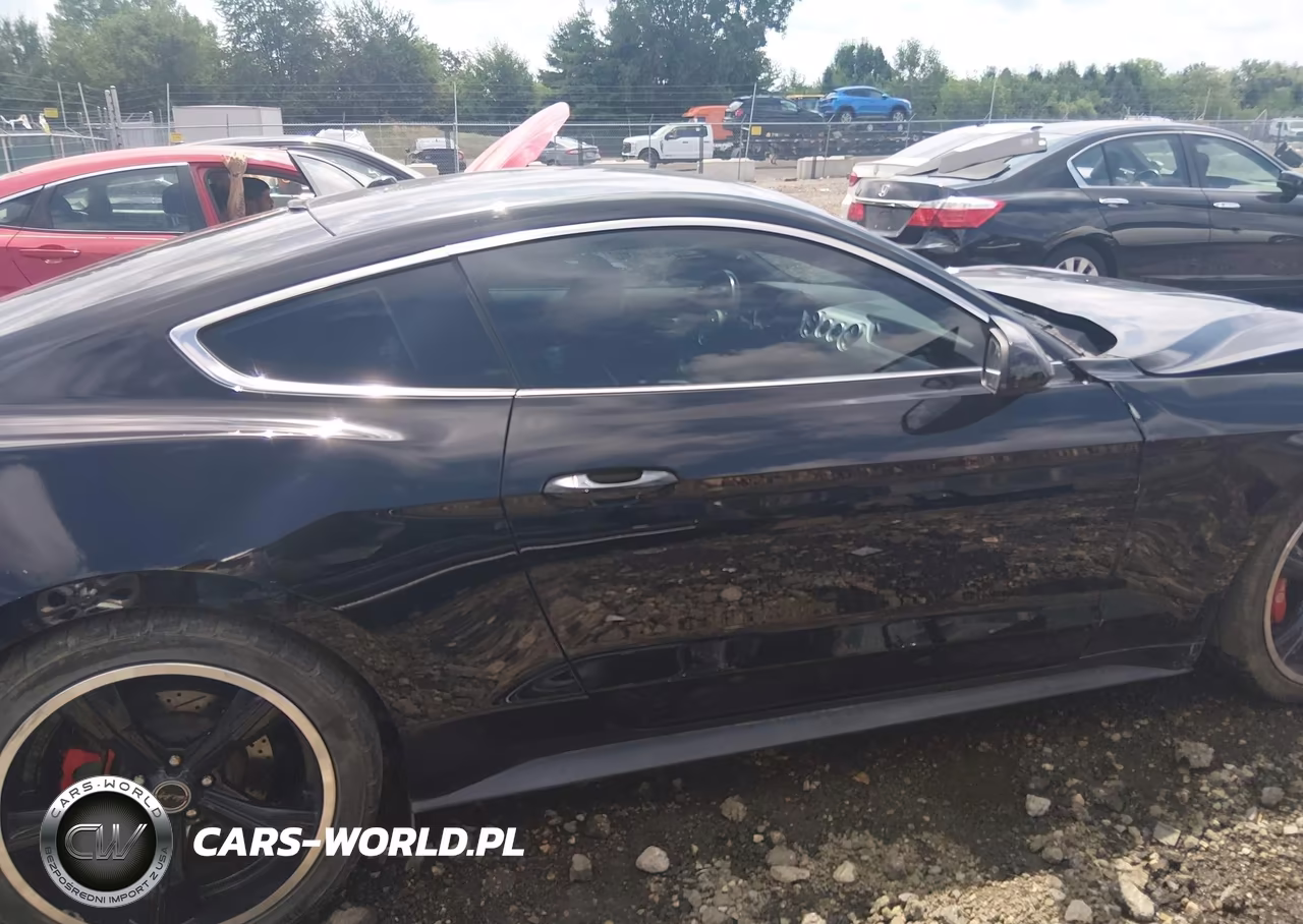 2019 Ford Mustang Bullitt VIN:1FA6P8K01K5506322 - 14