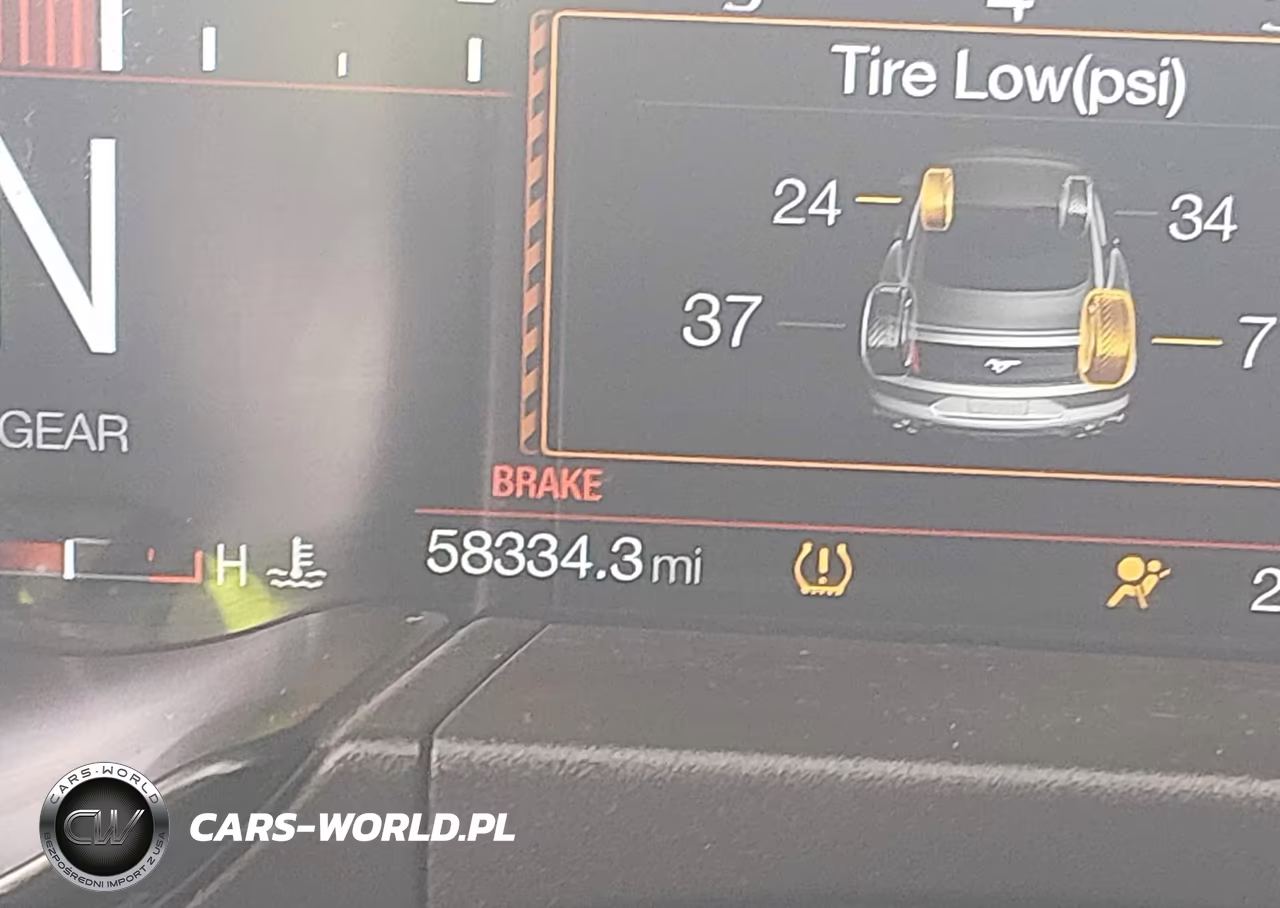 2019 Ford Mustang Bullitt VIN:1FA6P8K01K5506322 - 16