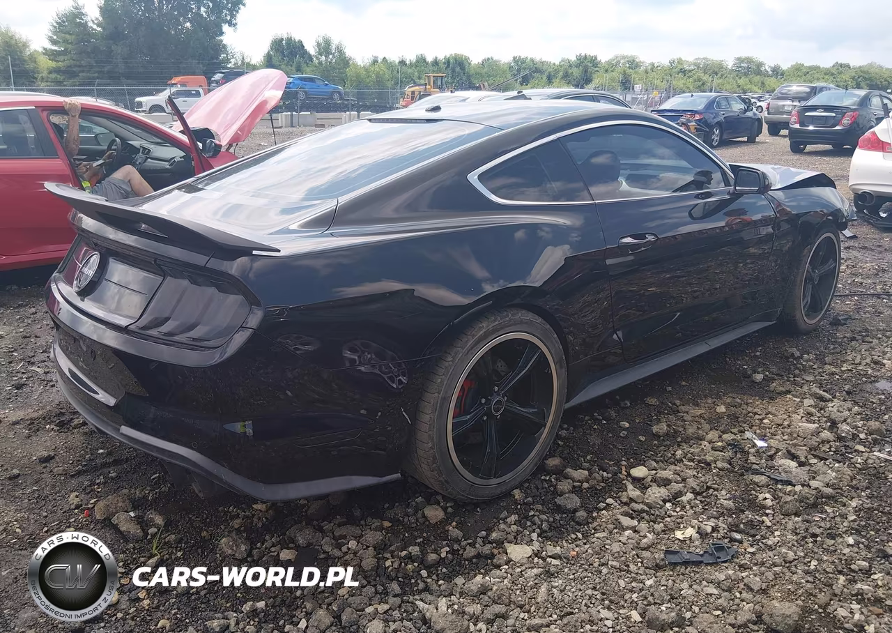 2019 Ford Mustang Bullitt VIN:1FA6P8K01K5506322 - 4