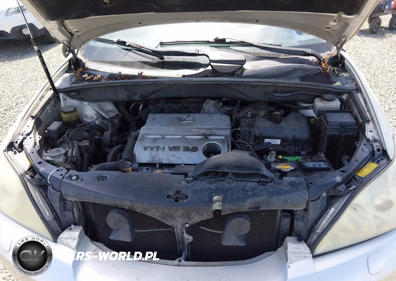 2006 Lexus Rx 330 VIN:JTJHA31U060102861 - 10