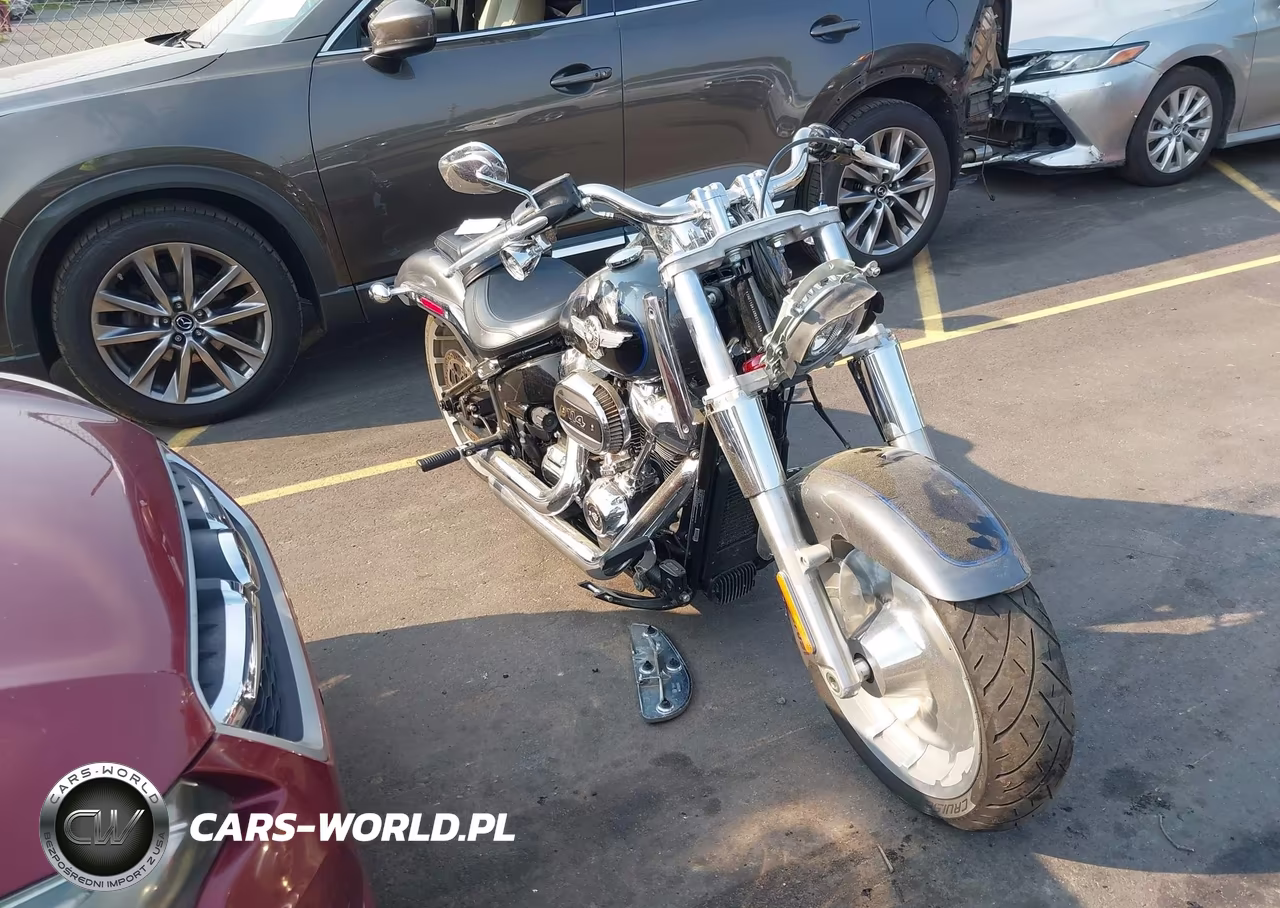 2021 Harley-Davidson Flfbs