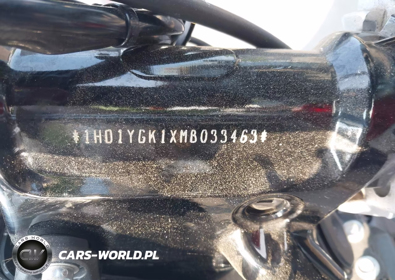 2021 Harley-Davidson Flfbs VIN:1HD1YGK1XMB033463 - 10