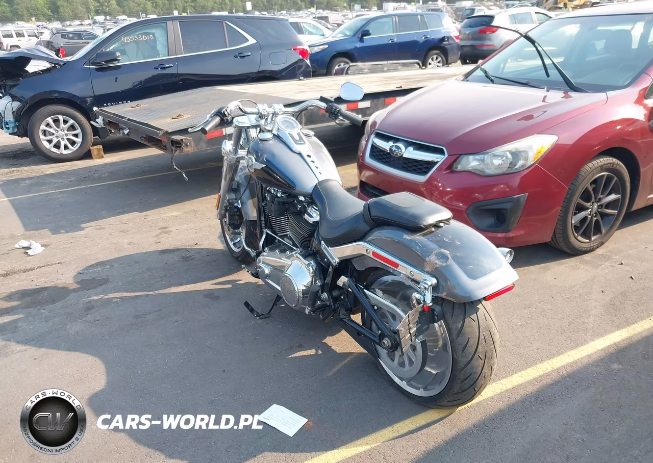 2021 Harley-Davidson Flfbs VIN:1HD1YGK1XMB033463 - 3