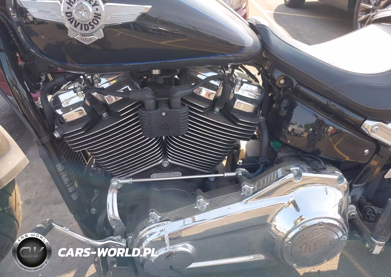 2021 Harley-Davidson Flfbs VIN:1HD1YGK1XMB033463 - 9