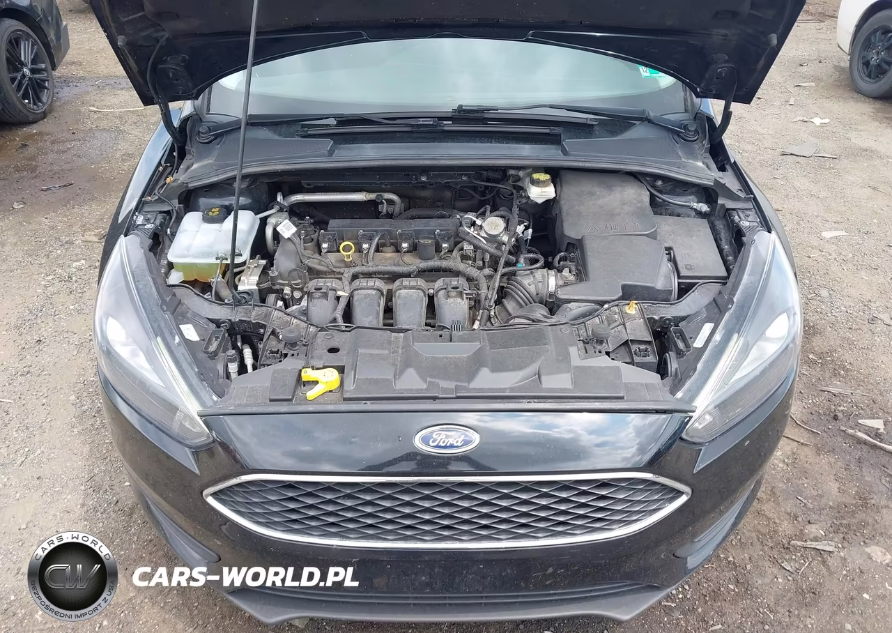 2017 Ford Focus Sel VIN:1FADP3H22HL219126 - 10