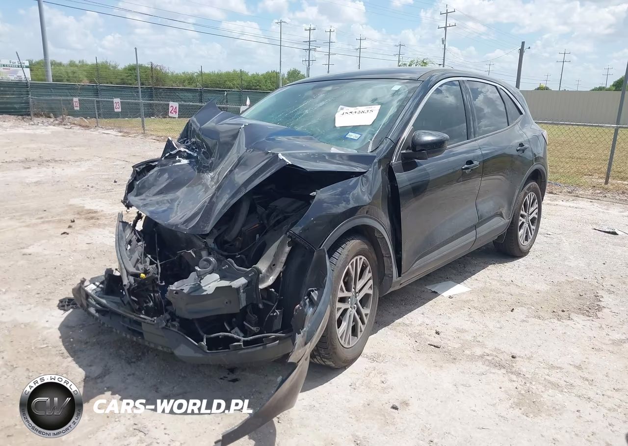 2022 Ford Escape Sel VIN:1FMCU0H67NUA59486 - 2