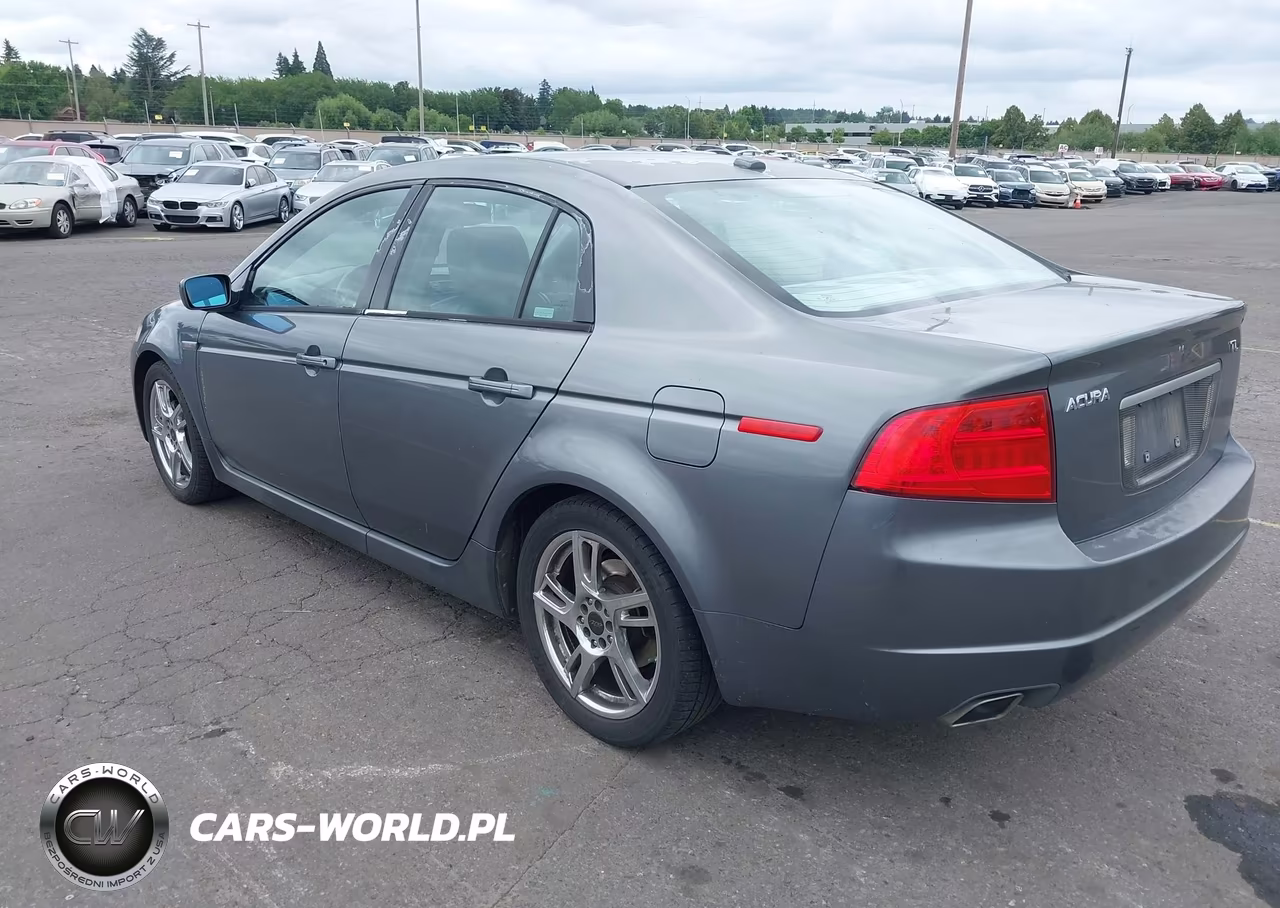 2006 Acura Tl VIN:19UUA66296A066917 - 3