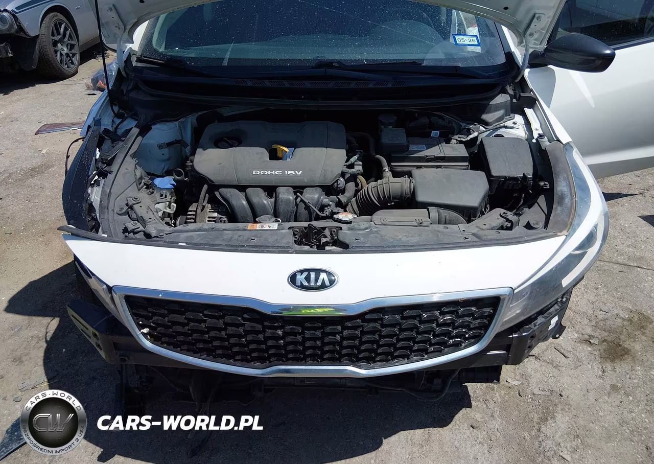 2018 Kia Forte Lx VIN:3KPFK4A75JE229192 - 10