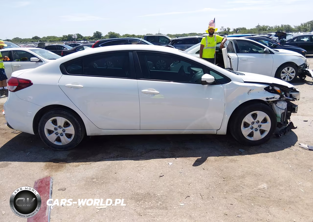 2018 Kia Forte Lx VIN:3KPFK4A75JE229192 - 13