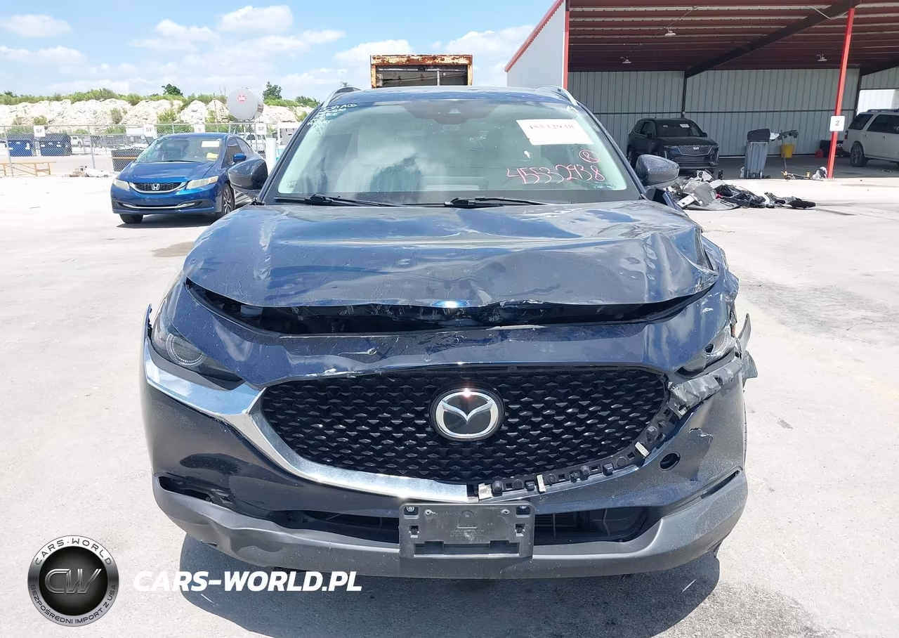 2021 Mazda Cx-30 Premium VIN:3MVDMADL6MM271016 - 12