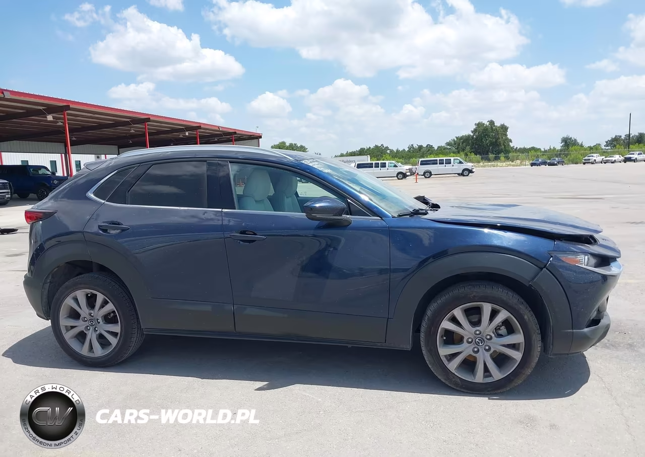 2021 Mazda Cx-30 Premium VIN:3MVDMADL6MM271016 - 13