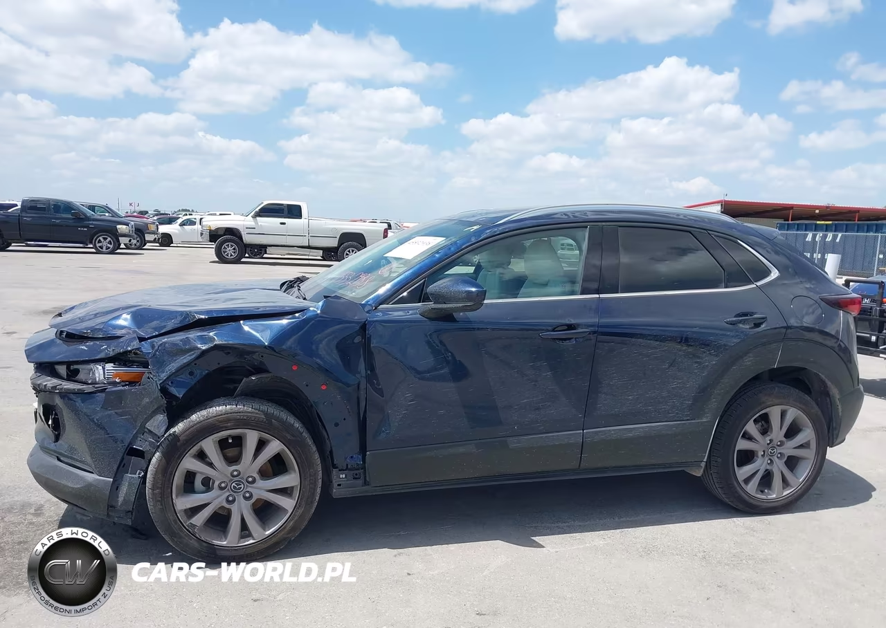 2021 Mazda Cx-30 Premium VIN:3MVDMADL6MM271016 - 14