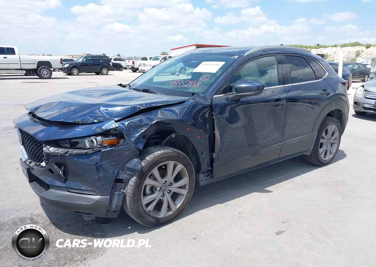 2021 Mazda Cx-30 Premium VIN:3MVDMADL6MM271016 - 2