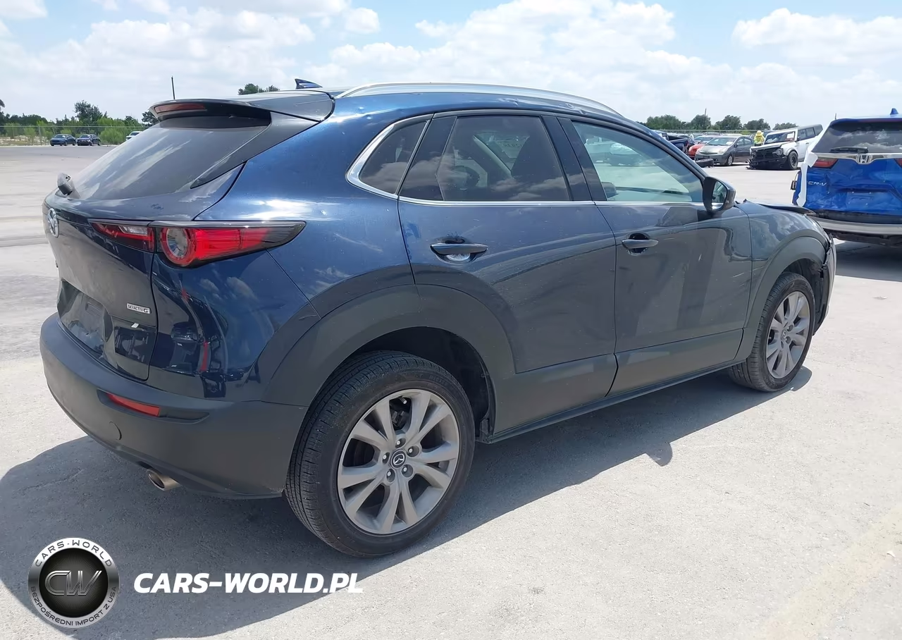2021 Mazda Cx-30 Premium VIN:3MVDMADL6MM271016 - 4