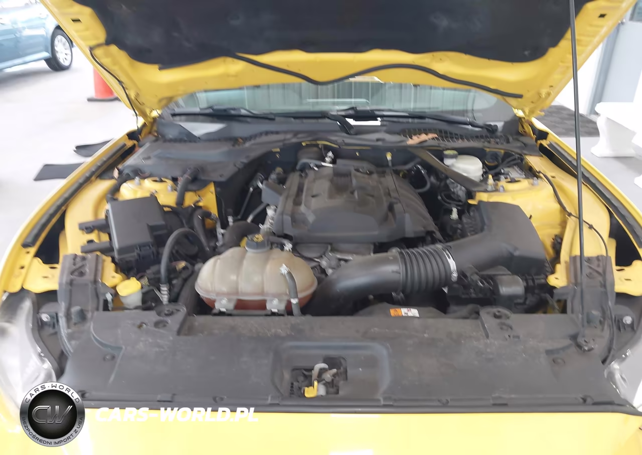 2016 Ford Mustang Ecoboost Premium VIN:1FATP8UH2G5281325 - 10