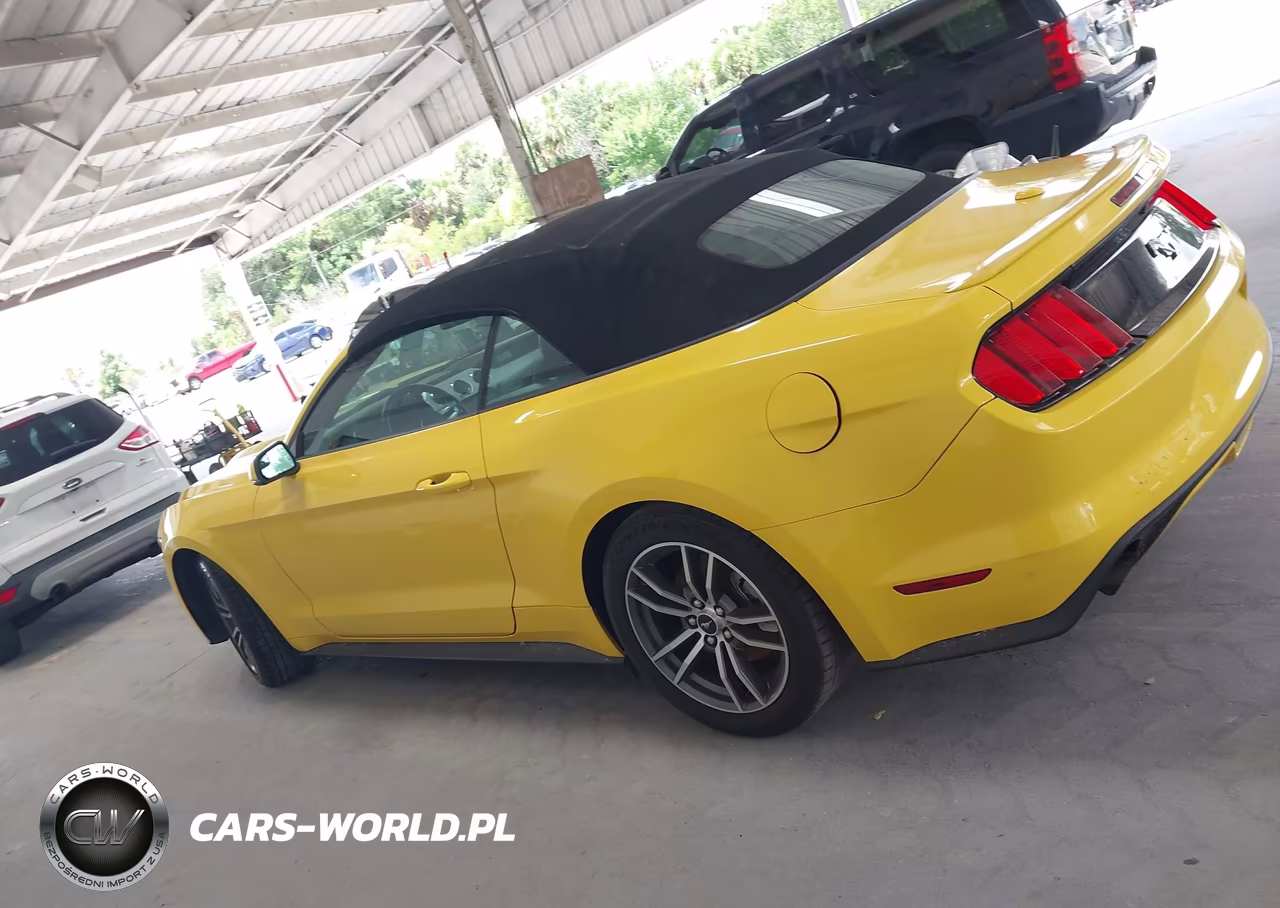 2016 Ford Mustang Ecoboost Premium VIN:1FATP8UH2G5281325 - 14