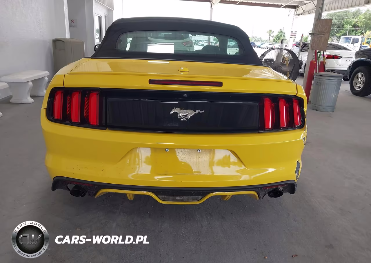 2016 Ford Mustang Ecoboost Premium VIN:1FATP8UH2G5281325 - 16