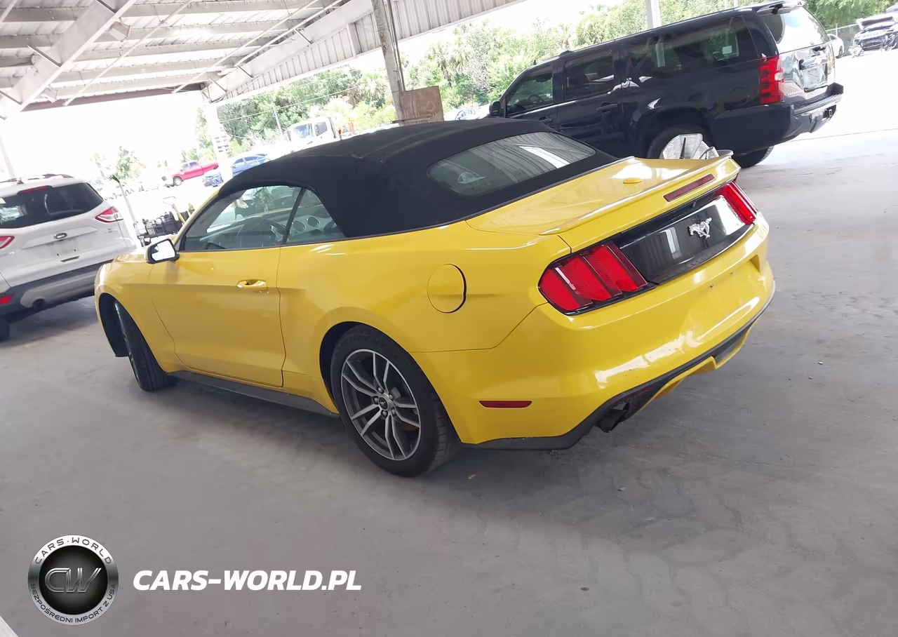 2016 Ford Mustang Ecoboost Premium VIN:1FATP8UH2G5281325 - 3