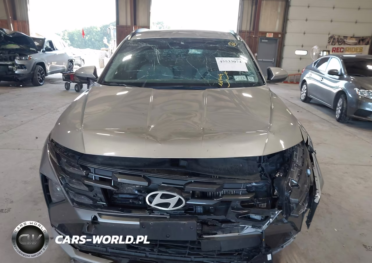 2025 Hyundai Tucson Hybrid Blue VIN:KM8JBDD10SU260107 - 12