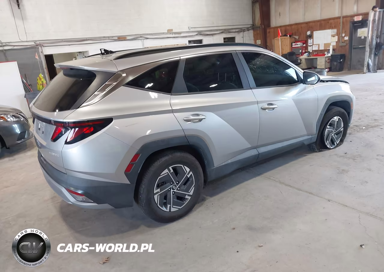 2025 Hyundai Tucson Hybrid Blue VIN:KM8JBDD10SU260107 - 4