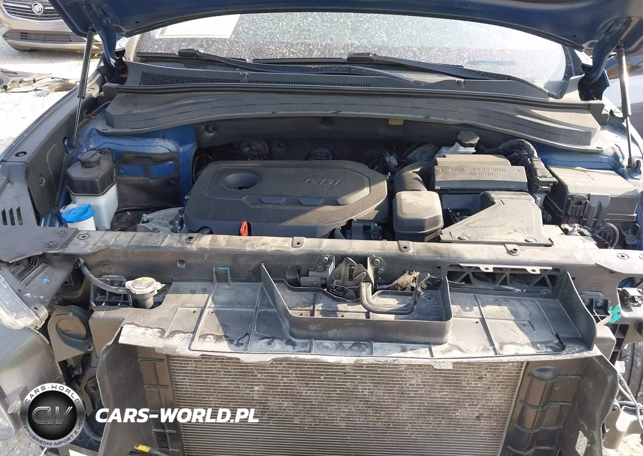 2020 Hyundai Santa Fe Sel VIN:5NMS3CAD2LH273397 - 10