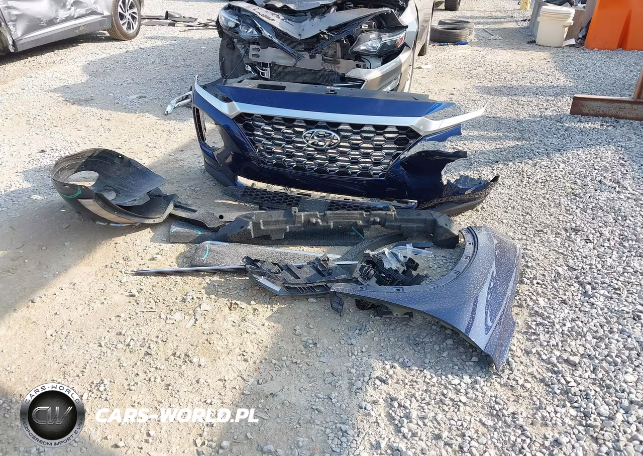 2020 Hyundai Santa Fe Sel VIN:5NMS3CAD2LH273397 - 12