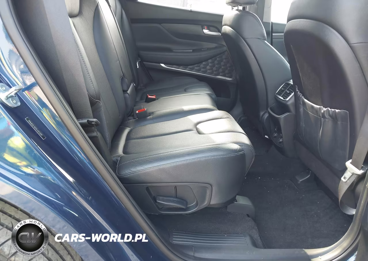 2020 Hyundai Santa Fe Sel VIN:5NMS3CAD2LH273397 - 8
