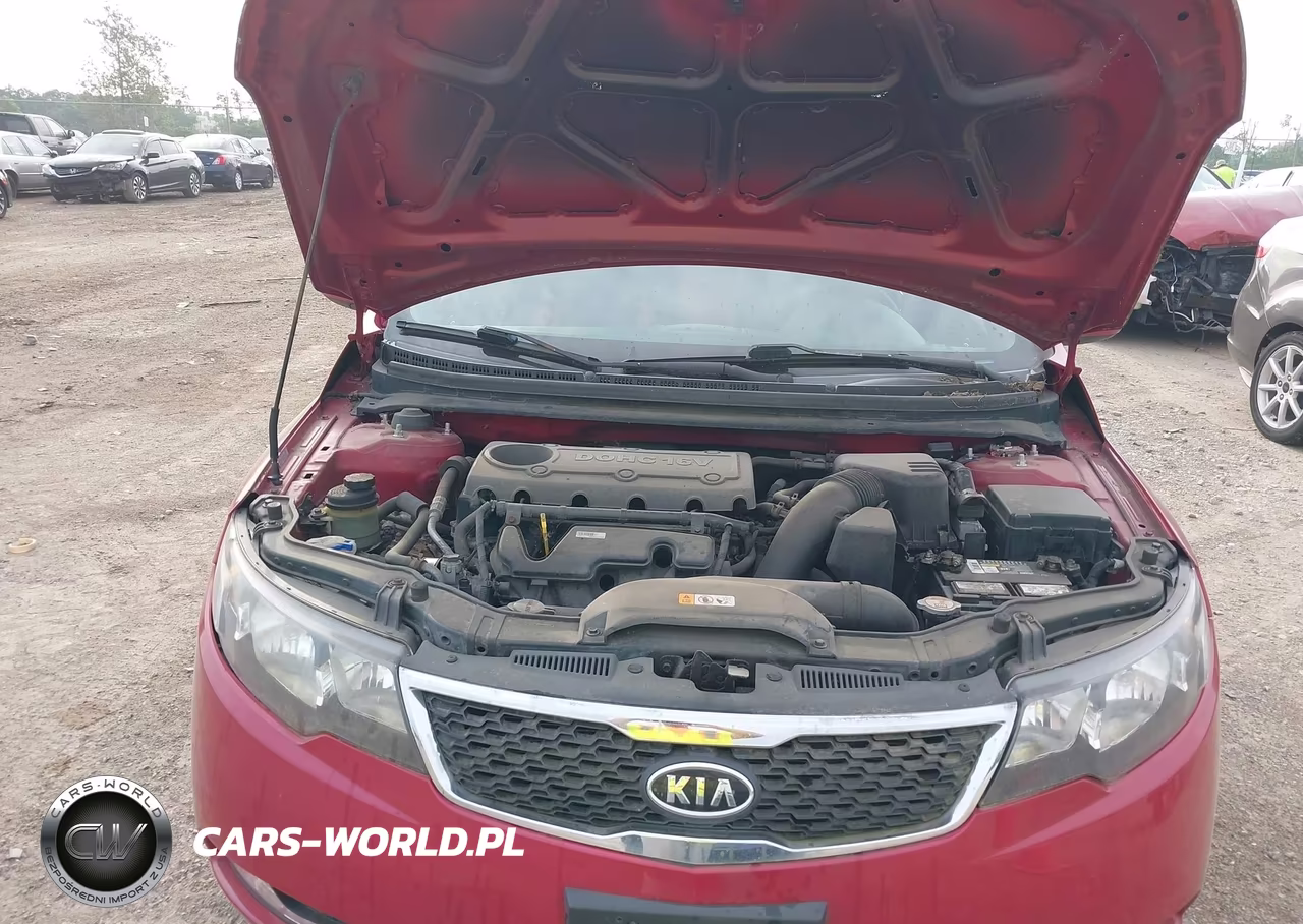 2013 Kia Forte Ex VIN:KNAFU5A20D5657639 - 10