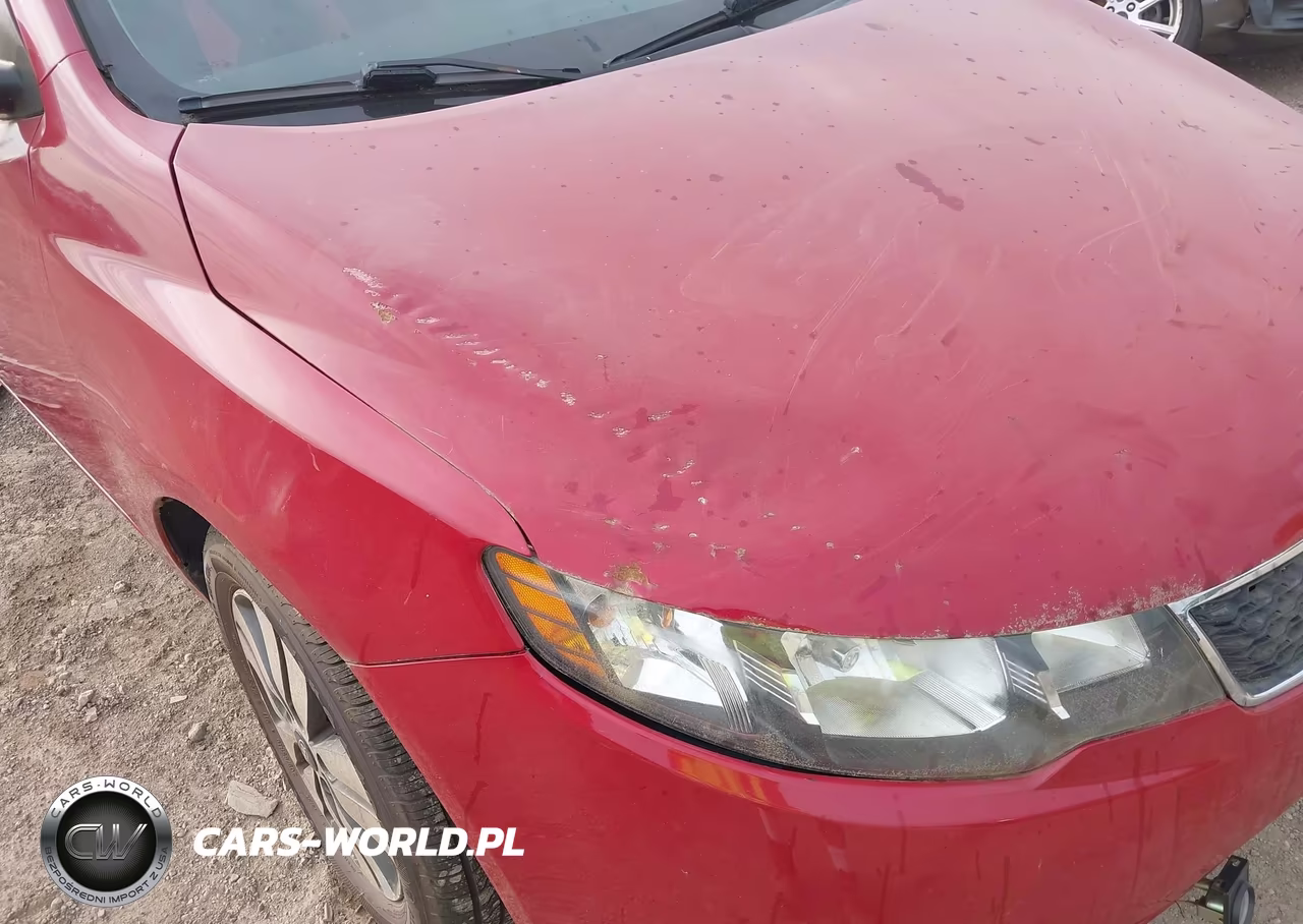 2013 Kia Forte Ex VIN:KNAFU5A20D5657639 - 12
