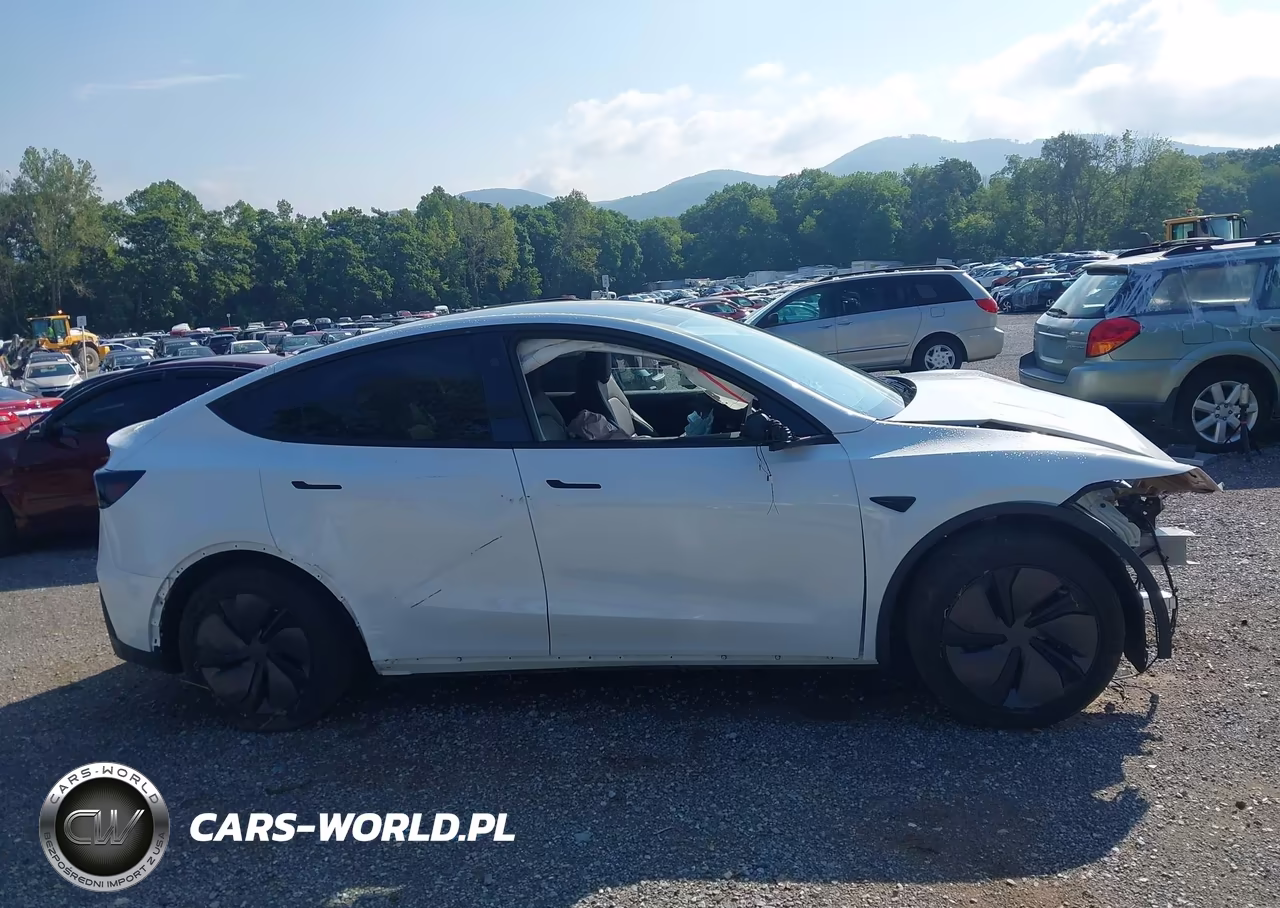 2026 Tesla Model Y All-Wheel Drive-Long Range Launch Series-Premium All-Wheel Drive VIN:7SAYGDEE0TF333141 - 13