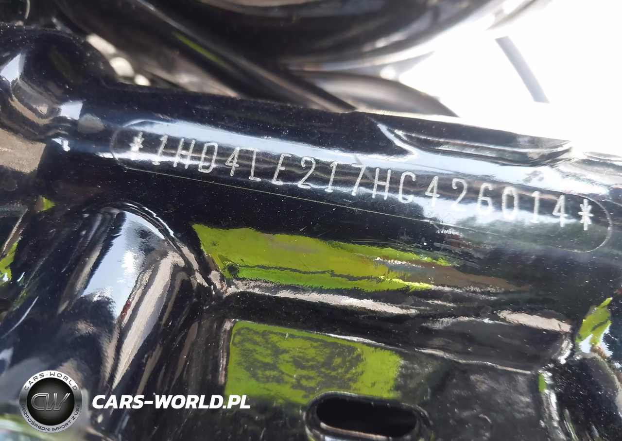 2017 Harley-Davidson Xl883 Iron 883 VIN:1HD4LE217HC426014 - 10