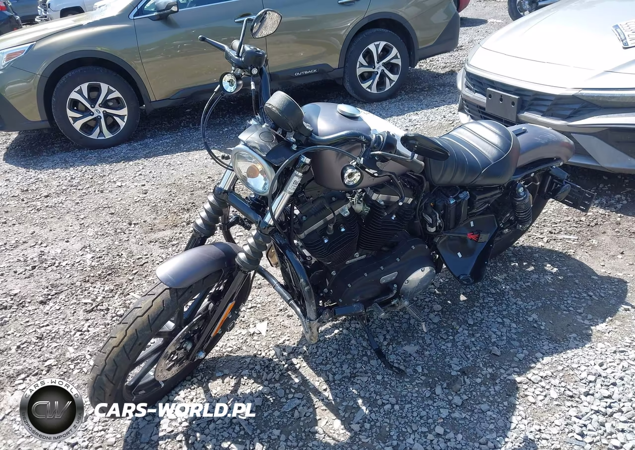 2017 Harley-Davidson Xl883 Iron 883 VIN:1HD4LE217HC426014 - 2