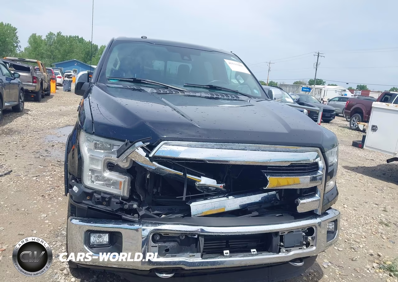2016 Ford F-150 King Ranch-Lariat-Limited-Platinum-Xl-Xlt VIN:1FTEW1EG9GFB62135 - 12