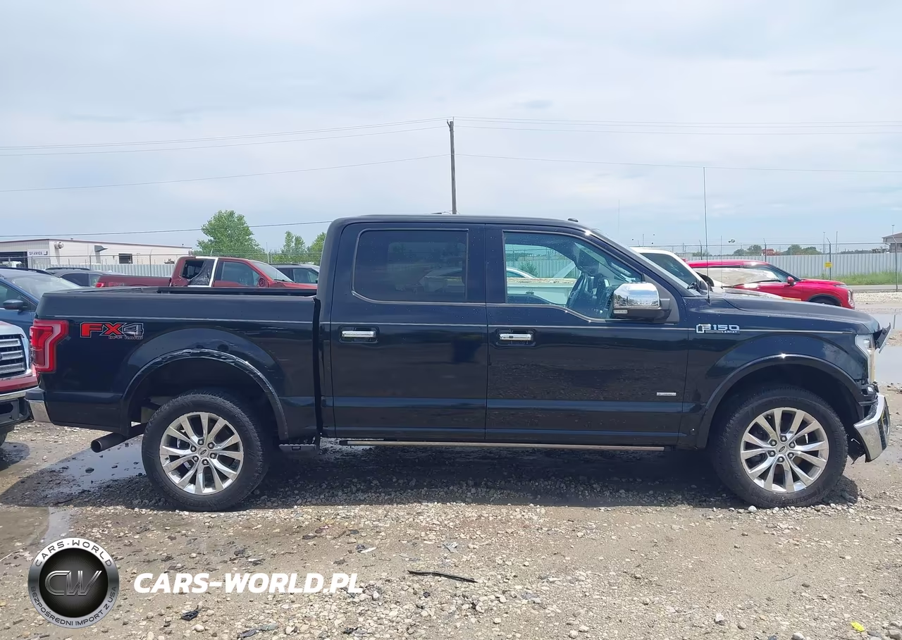 2016 Ford F-150 King Ranch-Lariat-Limited-Platinum-Xl-Xlt VIN:1FTEW1EG9GFB62135 - 13