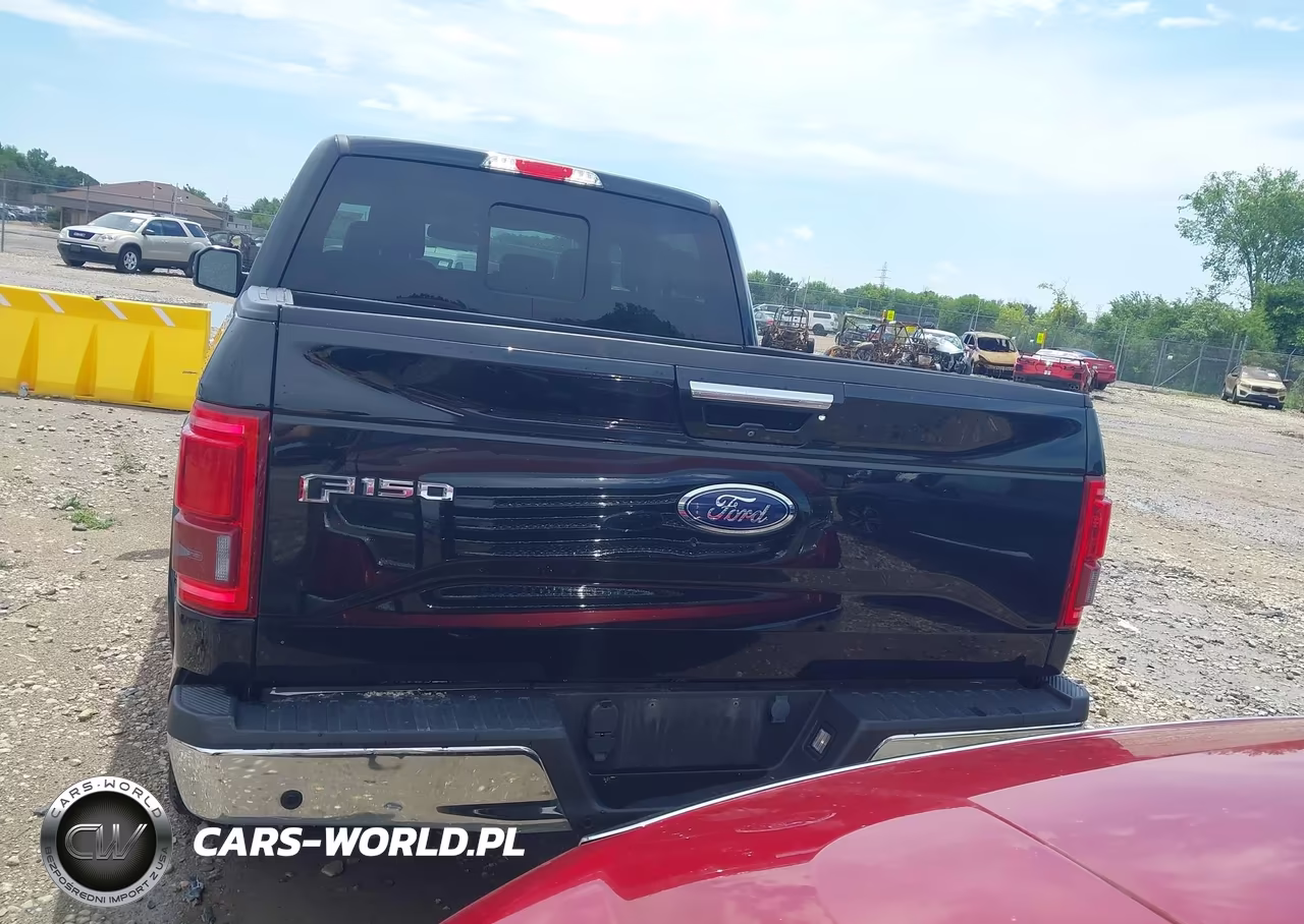 2016 Ford F-150 King Ranch-Lariat-Limited-Platinum-Xl-Xlt VIN:1FTEW1EG9GFB62135 - 16