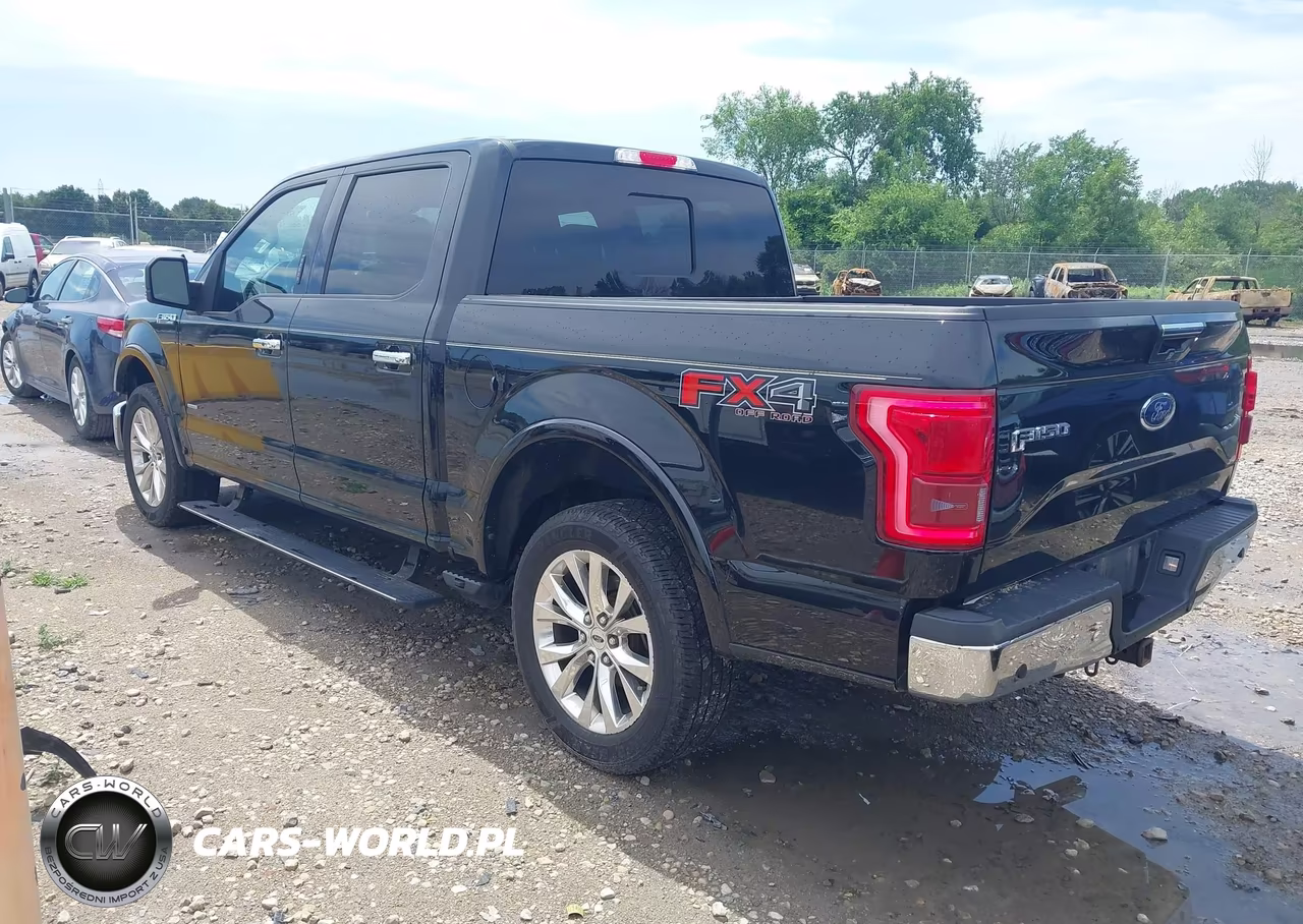 2016 Ford F-150 King Ranch-Lariat-Limited-Platinum-Xl-Xlt VIN:1FTEW1EG9GFB62135 - 3
